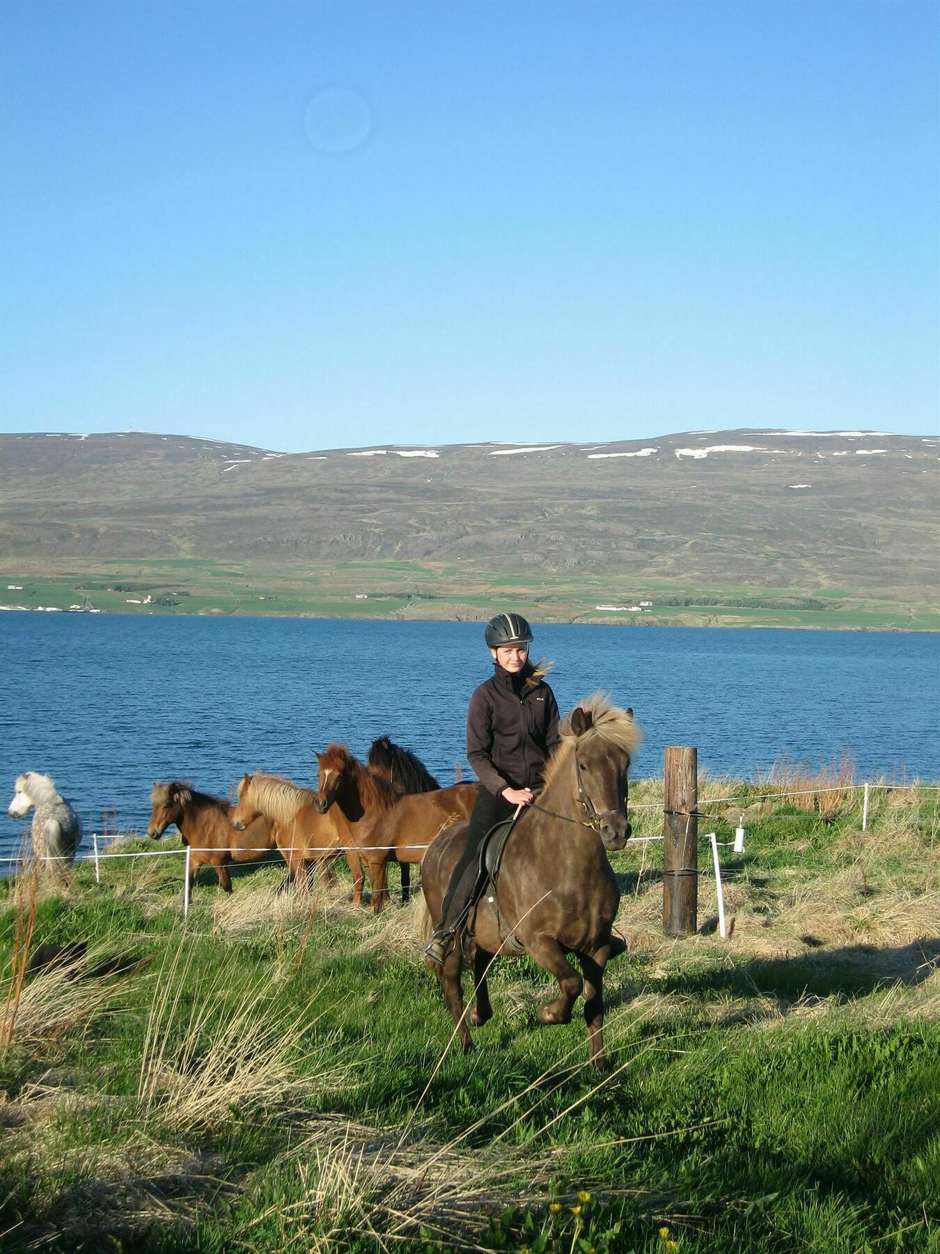 Skjaldarvik Guesthouse Akureyri Exteriör bild
